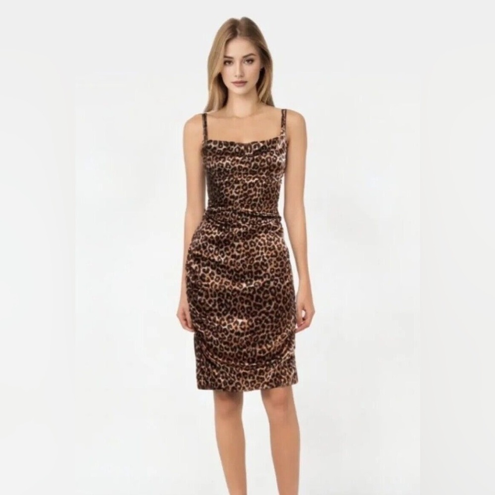 Likely leopard alessia dress size 6